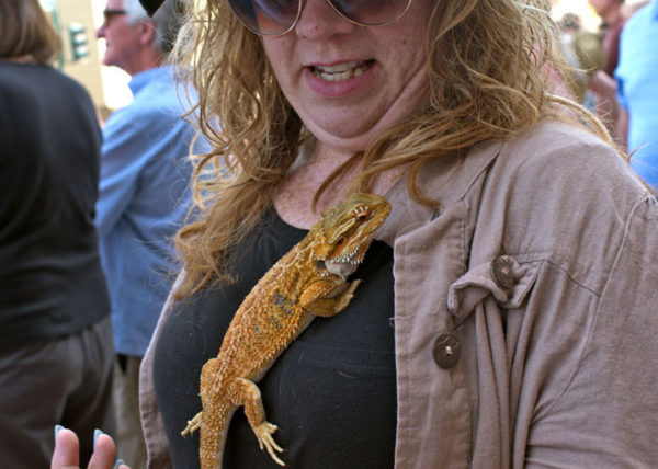 woman at parade, Hendersonville, NC 2017