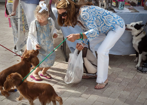 doggie treats, West Palm Beach 2011