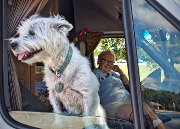Motorist and dog, Florida Turnpike 2017